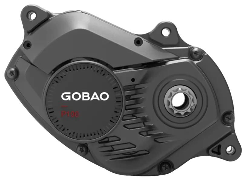 Gobao P100