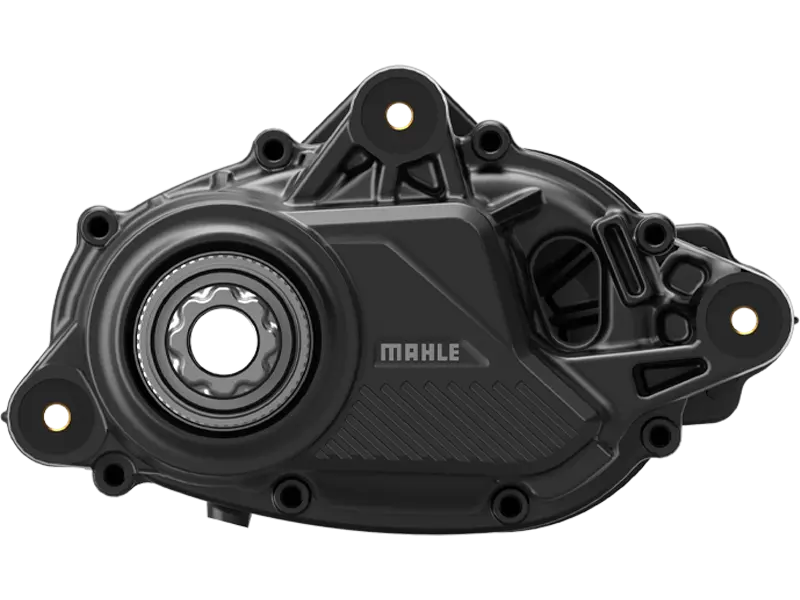 Mahle M40